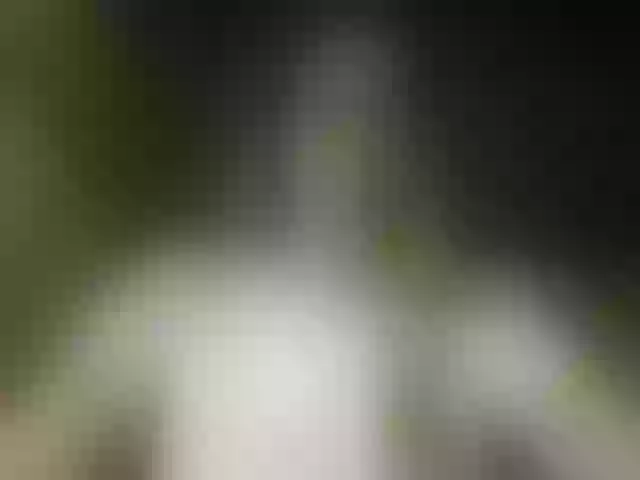 Live sex webcam photo for RosieJune #292013237