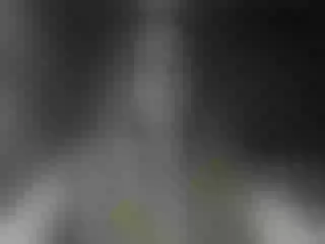 Live sex webcam photo for RosieJune #292268106
