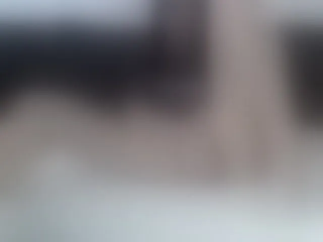 Live sex webcam photo for Rossemarie #292408169