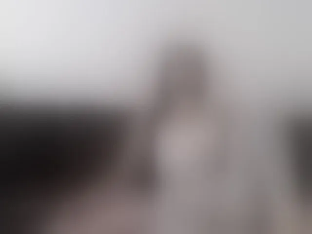 Live sex webcam photo for Rossemarie #292780685