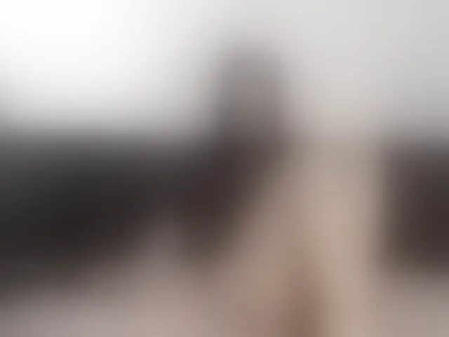 Live sex webcam photo for Rossemarie #293457271