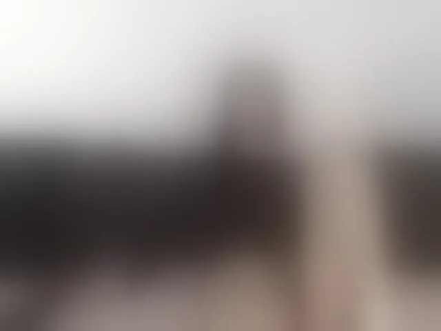 Live sex webcam photo for Rossemarie #293570870