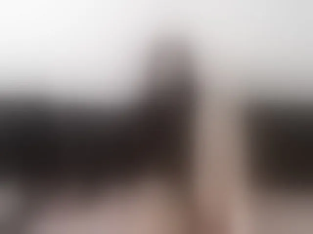 Live sex webcam photo for Rossemarie #293612328