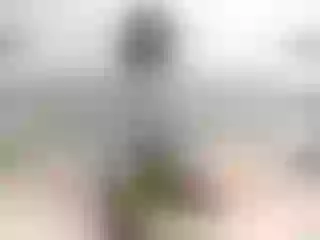 Live sex webcam photo for Rosyallen #155459684
