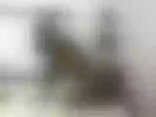 Live sex webcam photo for Rosyallen #155889014
