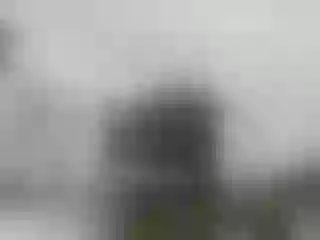 Live sex webcam photo for Rosyallen #156011642