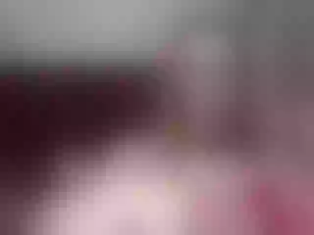 Live sex webcam photo for RousellVaads #288060519
