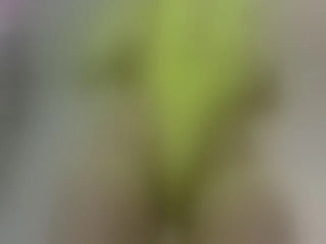 Live sex webcam photo for Roxanequinn #293372519