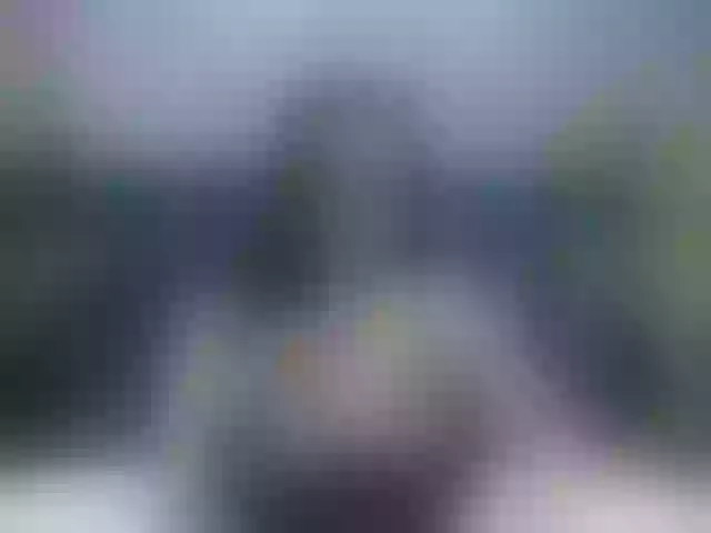 Live sex webcam photo for RoxieAnne #292220524