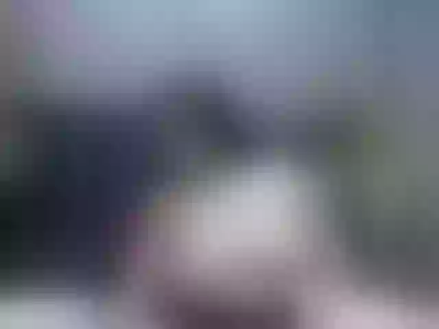 Live sex webcam photo for RoxieAnne #292226569