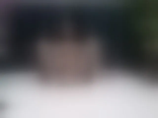 Live sex webcam photo for RoxieAnne #292393313