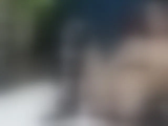 Live sex webcam photo for RoxieAnne #292525116