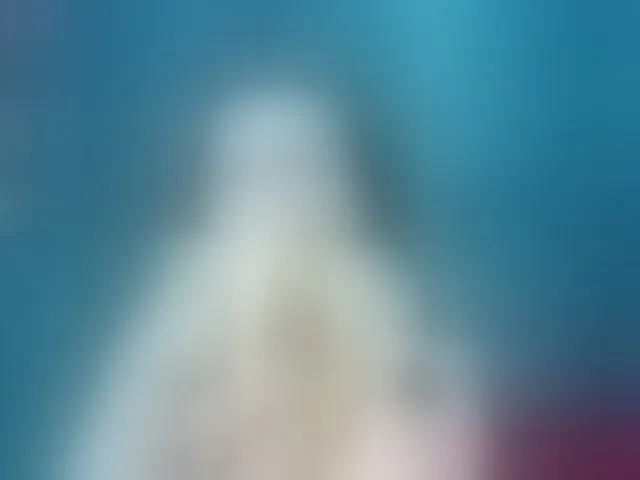 Live sex webcam photo for RoxieAnne #293199662