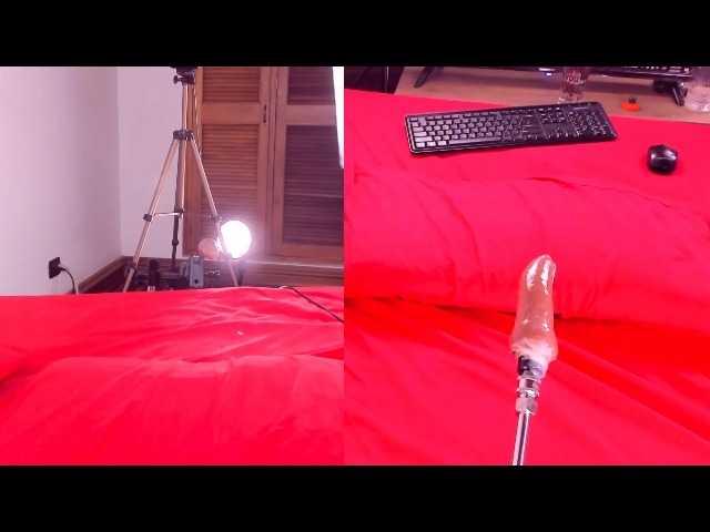 Live sex webcam photo for Roxy-Roxx #272549558