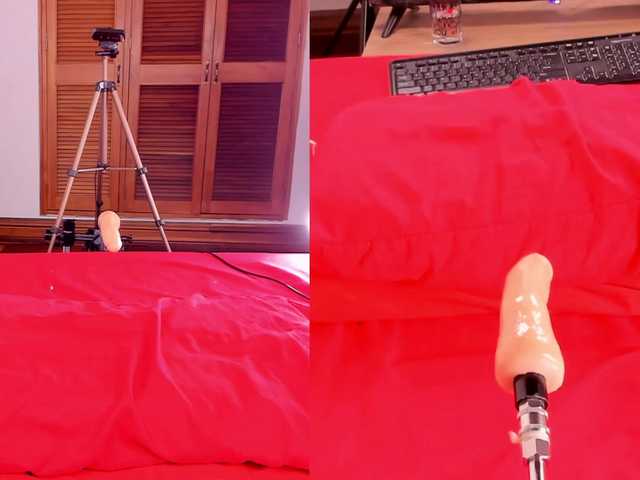 Live sex webcam photo for Roxy-Roxx #273856555