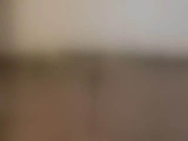 Live sex webcam photo for Roxy-Sunny #292560564