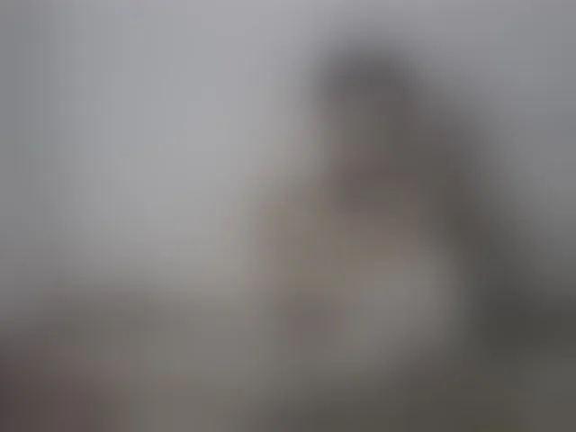 Live sex webcam photo for Roxy-star #293295080