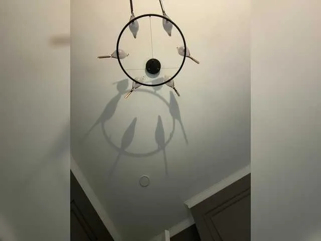 Live sex webcam photo for RoxyDoll #291160623