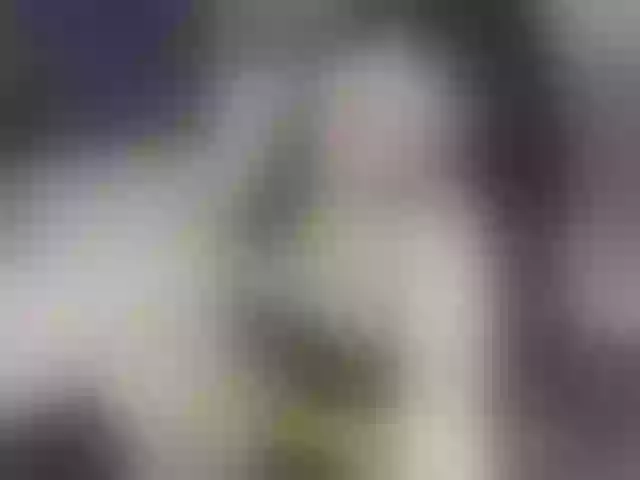 Live sex webcam photo for RoxyStar #290990141
