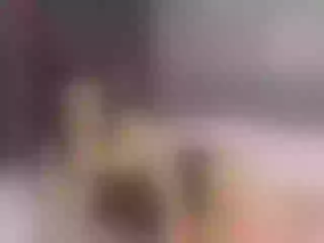 Live sex webcam photo for RoxyStar #292139685