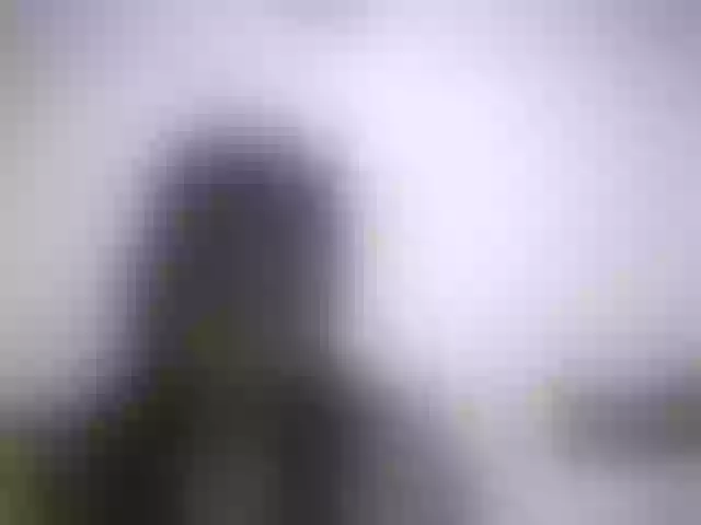 Live sex webcam photo for Royblackhot #291907048