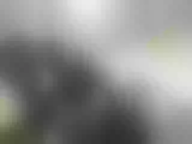 Live sex webcam photo for Royblackhot #292149082