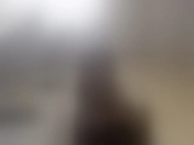Live sex webcam photo for Royblackhot #292668850
