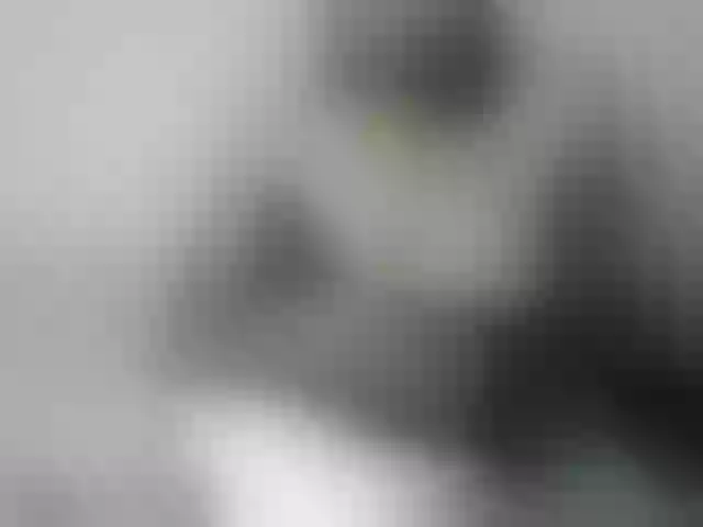 Live sex webcam photo for Rsylvia1 #292177547