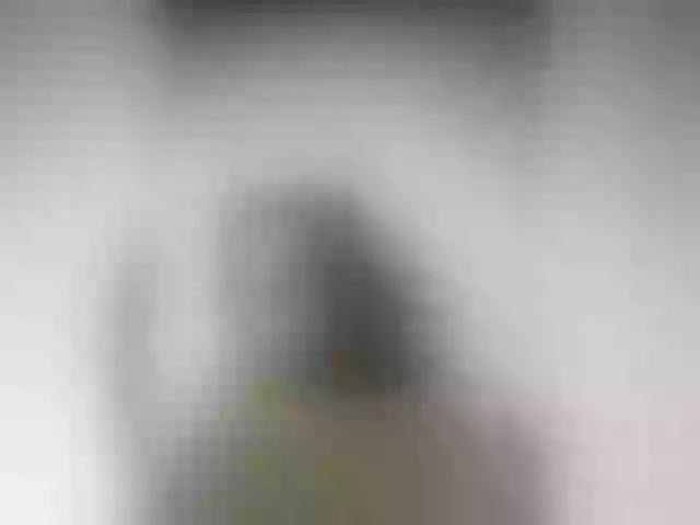 Live sex webcam photo for Rsylvia1 #292193920