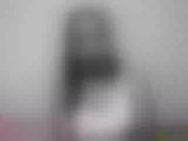 Live sex webcam photo for Rsylvia1 #292254054