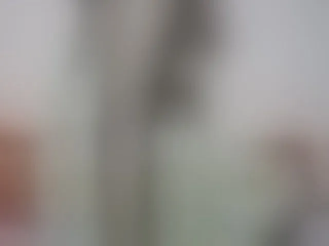 Live sex webcam photo for Rsylvia1 #293753883