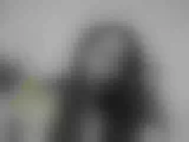 Live sex webcam photo for Rsylvie #291959831