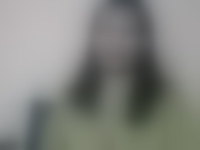 Live sex webcam photo for Rsylvie #293868586