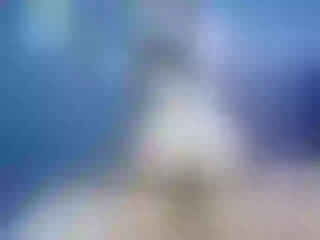 Live sex webcam photo for Rude-n-Cute #272532661