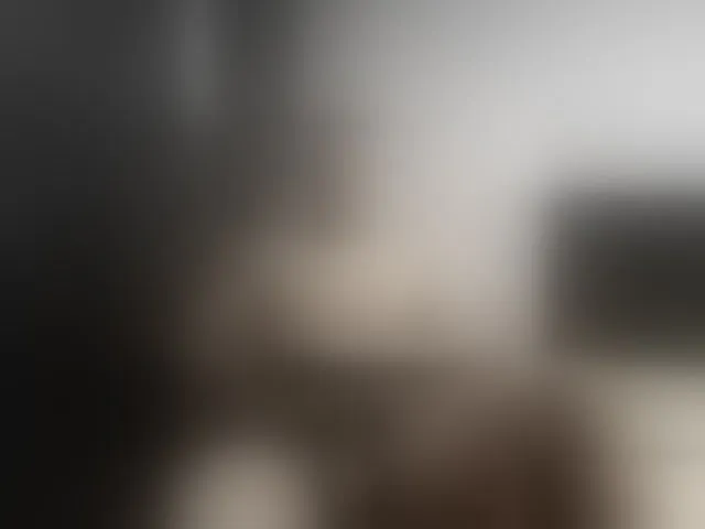 Live sex webcam photo for Ryan-xc #292386686