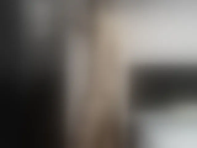 Live sex webcam photo for Ryan-xc #292439200