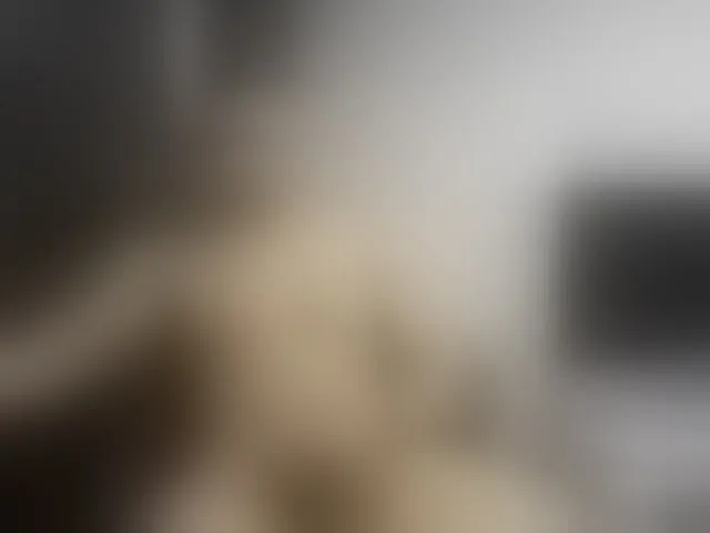 Live sex webcam photo for Ryan-xc #292575853