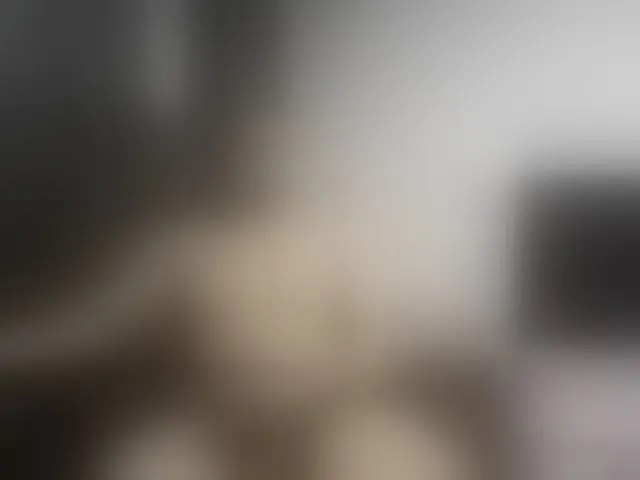 Live sex webcam photo for Ryan-xc #292598401