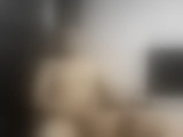 Live sex webcam photo for Ryan-xc #292607542