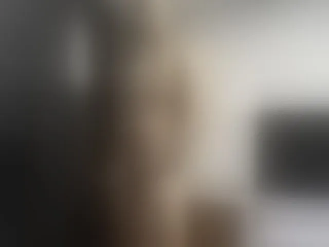 Live sex webcam photo for Ryan-xc #292677132