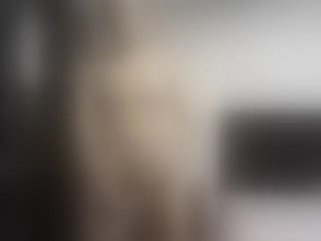 Live sex webcam photo for Ryan-xc #292931612