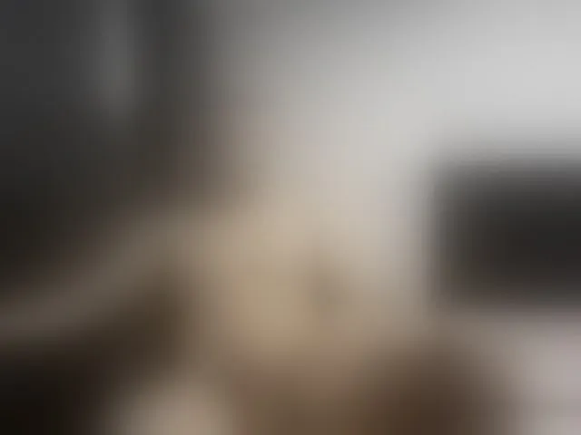 Live sex webcam photo for Ryan-xc #292970411