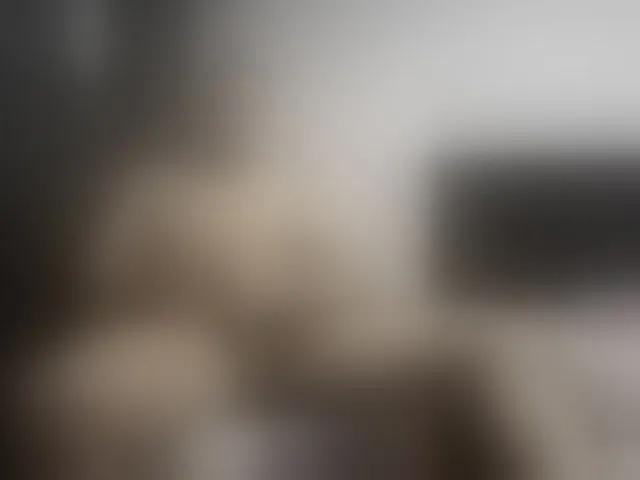 Live sex webcam photo for Ryan-xc #293059435