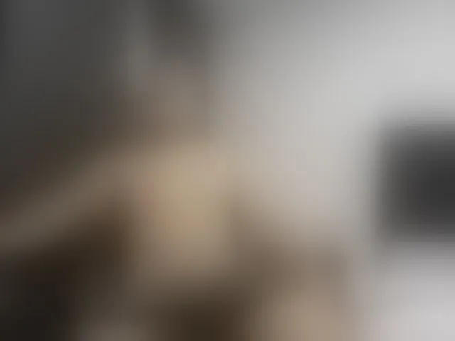Live sex webcam photo for Ryan-xc #293714632
