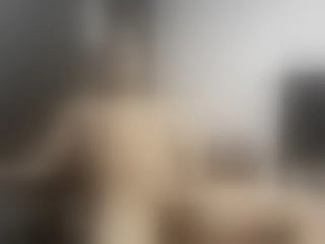 Live sex webcam photo for Ryan-xc #293804035