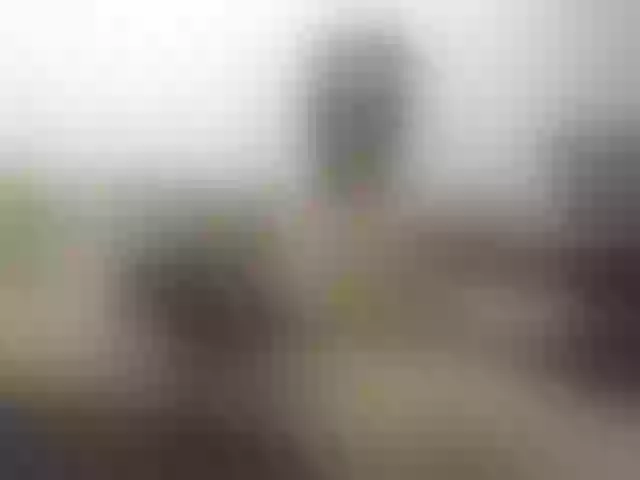 Live sex webcam photo for SAMARIO1 #290592194