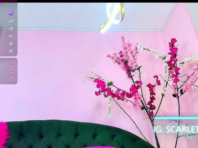 Live sex webcam photo for SCARLETTE04 #290809653