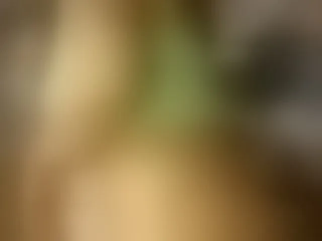Live sex webcam photo for SCARLETTE04 #293587294