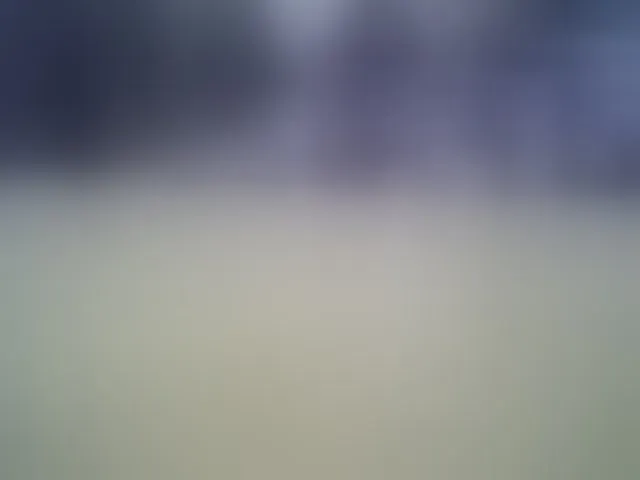 Live sex webcam photo for SEKSIMARI-5 #292788069