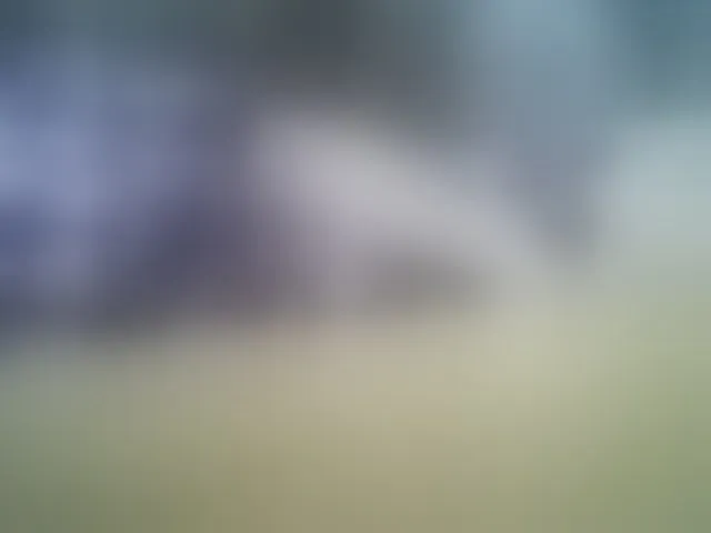 Live sex webcam photo for SEKSIMARI-5 #293142440